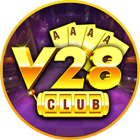 V28 Vin